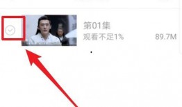 小慧删除爆料视频下载,真相背后引人深思